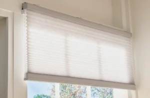 Lutron Caseta Smart Shades